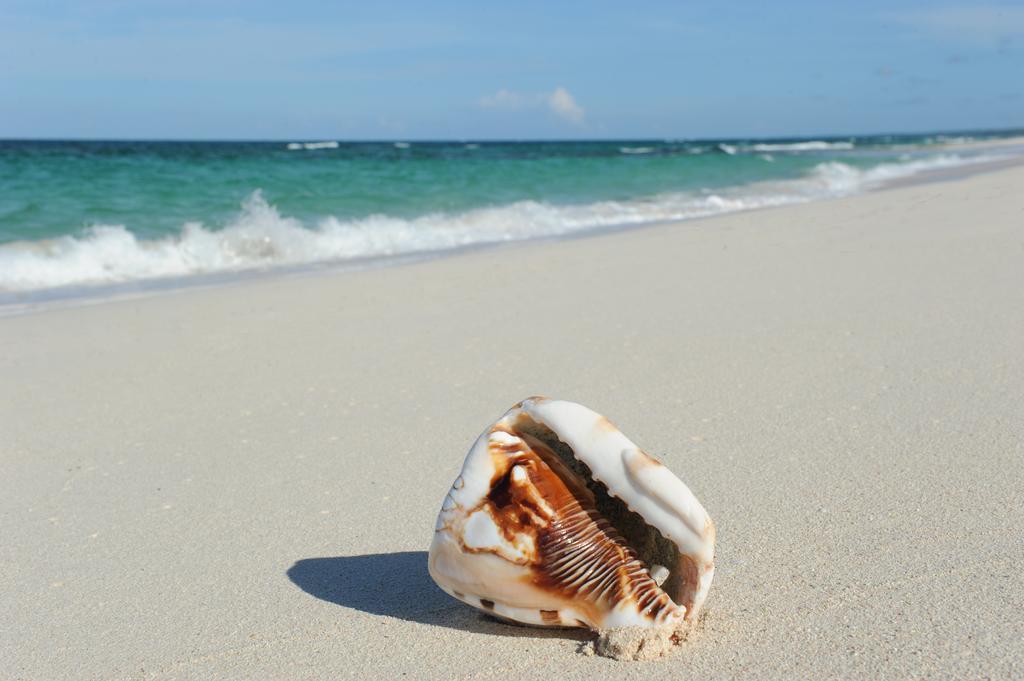 Buttonwood Reserve Condominiums Eleuthera Bagian luar foto